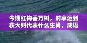 今期红梅香万树，时享运到获大财代表什么生肖，成语解析落实