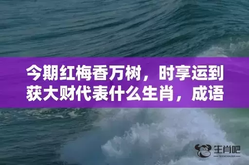 今期红梅香万树，时享运到获大财代表什么生肖，成语解析落实