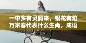 一中多有灵码来，银花有焰万家春代表什么生肖，成语解析落实