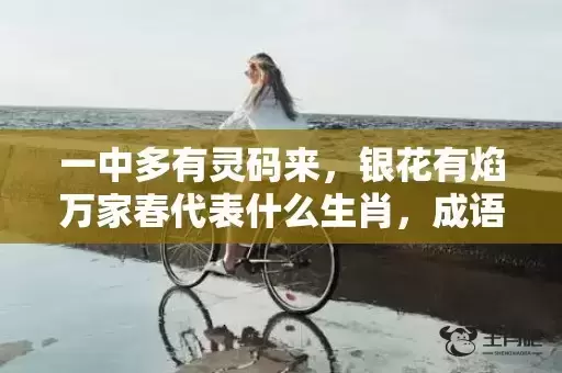 一中多有灵码来，银花有焰万家春代表什么生肖，成语解析落实