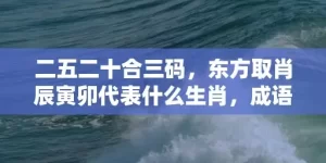 二五二十合三码，东方取肖辰寅卯代表什么生肖，成语解析落实