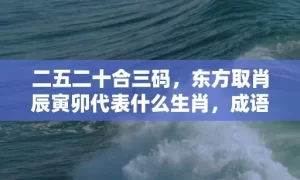 二五二十合三码，东方取肖辰寅卯代表什么生肖，成语解析落实