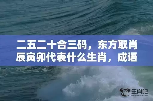 二五二十合三码，东方取肖辰寅卯代表什么生肖，成语解析落实