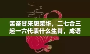 苦奋甘来想荣华，二七合三起一六代表什么生肖，成语解析落实