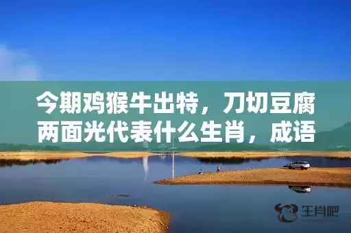 今期鸡猴牛出特，刀切豆腐两面光代表什么生肖，成语解析落实