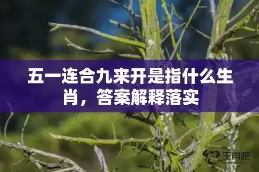 五一连合九来开是指什么生肖，答案解释落实