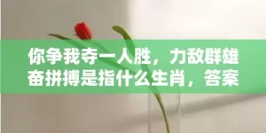 你争我夺一人胜，力敌群雄奋拼搏是指什么生肖，答案解释落实