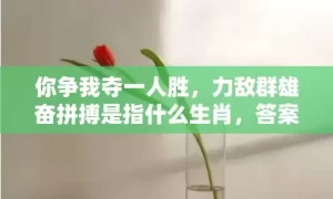 你争我夺一人胜，力敌群雄奋拼搏是指什么生肖，答案解释落实