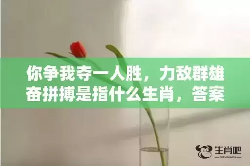 你争我夺一人胜，力敌群雄奋拼搏是指什么生肖，答案解释落实