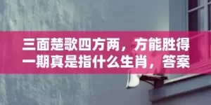 三面楚歌四方两，方能胜得一期真是指什么生肖，答案解释落实