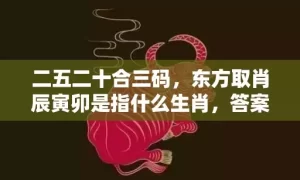 二五二十合三码，东方取肖辰寅卯是指什么生肖，答案解释落实