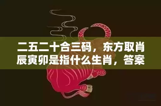 二五二十合三码，东方取肖辰寅卯是指什么生肖，答案解释落实
