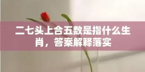 二七头上合五数是指什么生肖，答案解释落实