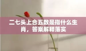 二七头上合五数是指什么生肖，答案解释落实