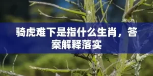 骑虎难下是指什么生肖，答案解释落实