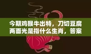 今期鸡猴牛出特，刀切豆腐两面光是指什么生肖，答案解释落实