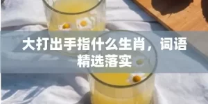 大打出手指什么生肖，词语精选落实