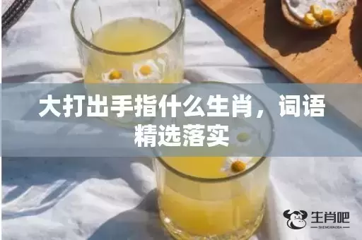 大打出手指什么生肖，词语精选落实