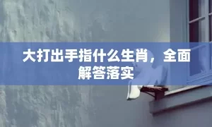 大打出手指什么生肖，全面解答落实