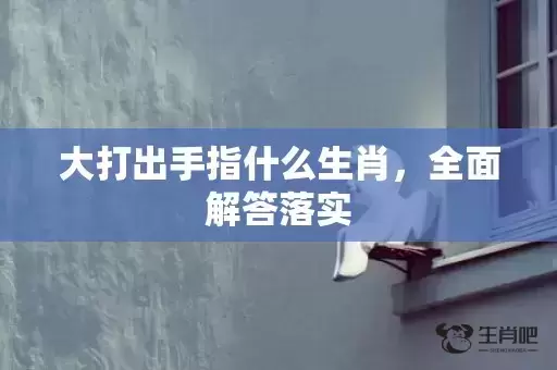 大打出手指什么生肖，全面解答落实