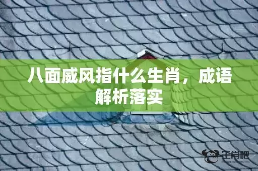 八面威风指什么生肖，成语解析落实
