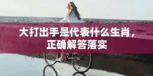 大打出手是代表什么生肖，正确解答落实