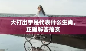 大打出手是代表什么生肖，正确解答落实