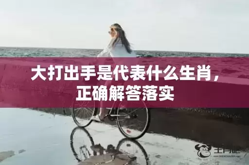 大打出手是代表什么生肖，正确解答落实