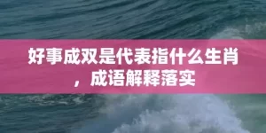 好事成双是代表指什么生肖，成语解释落实