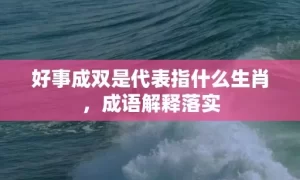 好事成双是代表指什么生肖，成语解释落实