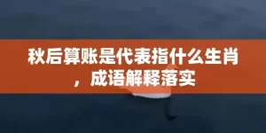 秋后算账是代表指什么生肖，成语解释落实