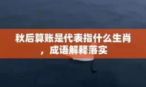 秋后算账是代表指什么生肖，成语解释落实