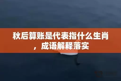 秋后算账是代表指什么生肖，成语解释落实