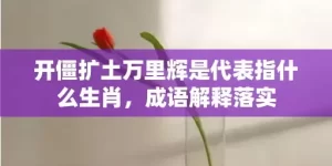 开僵扩土万里辉是代表指什么生肖，成语解释落实