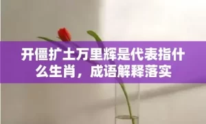 开僵扩土万里辉是代表指什么生肖，成语解释落实