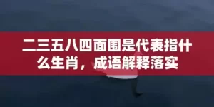 二三五八四面围是代表指什么生肖，成语解释落实