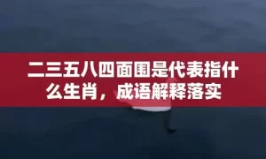 二三五八四面围是代表指什么生肖，成语解释落实