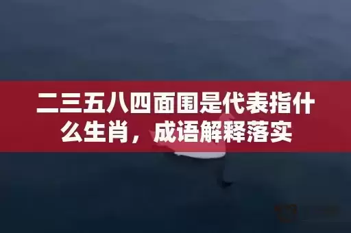 二三五八四面围是代表指什么生肖，成语解释落实