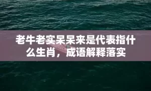 老牛老实呆呆来是代表指什么生肖，成语解释落实