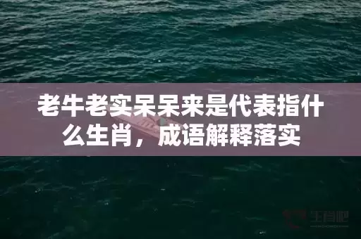 老牛老实呆呆来是代表指什么生肖，成语解释落实