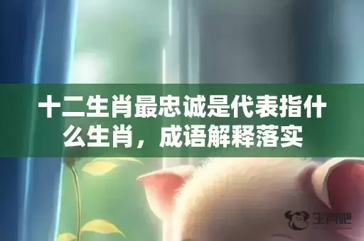 十二生肖最忠诚是代表指什么生肖，成语解释落实