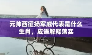 元帅西征扬军威代表是什么生肖，成语解释落实