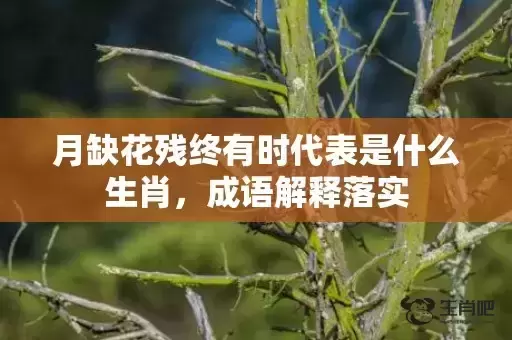 月缺花残终有时代表是什么生肖,成语解释落实 月缺花残终有时代表是什么生肖,成语解释落实