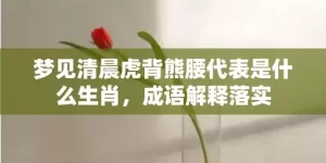 梦见清晨虎背熊腰代表是什么生肖，成语解释落实