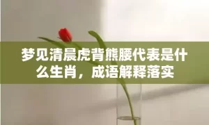 梦见清晨虎背熊腰代表是什么生肖，成语解释落实