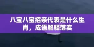 八宝八宝招亲代表是什么生肖，成语解释落实