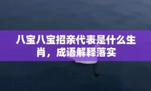 八宝八宝招亲代表是什么生肖，成语解释落实