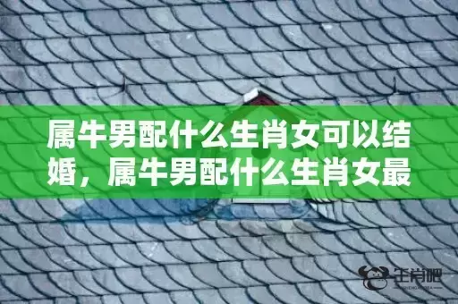 属牛男配什么生肖女可以结婚,属牛男配什么生肖女最好 属牛男配什么生肖女可以结婚,属牛男配什么生肖女最好