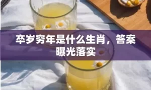 卒岁穷年是什么生肖，答案曝光落实