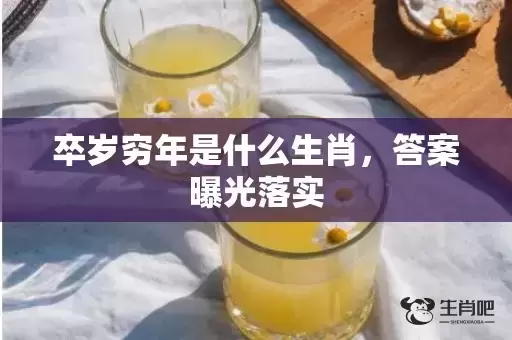 卒岁穷年是什么生肖，答案曝光落实